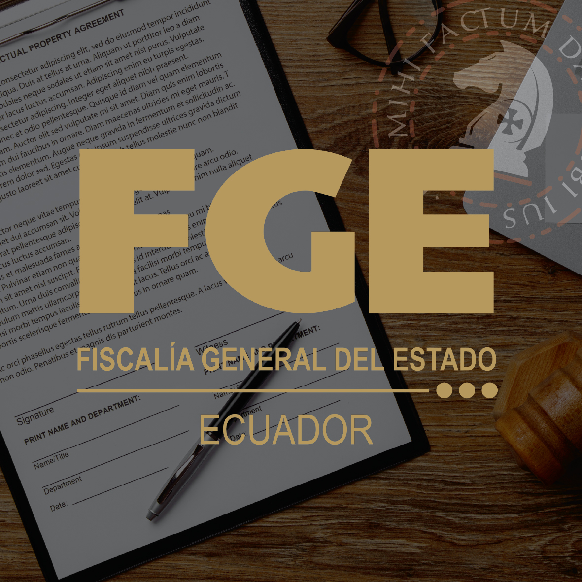 servicios%20effectum 11