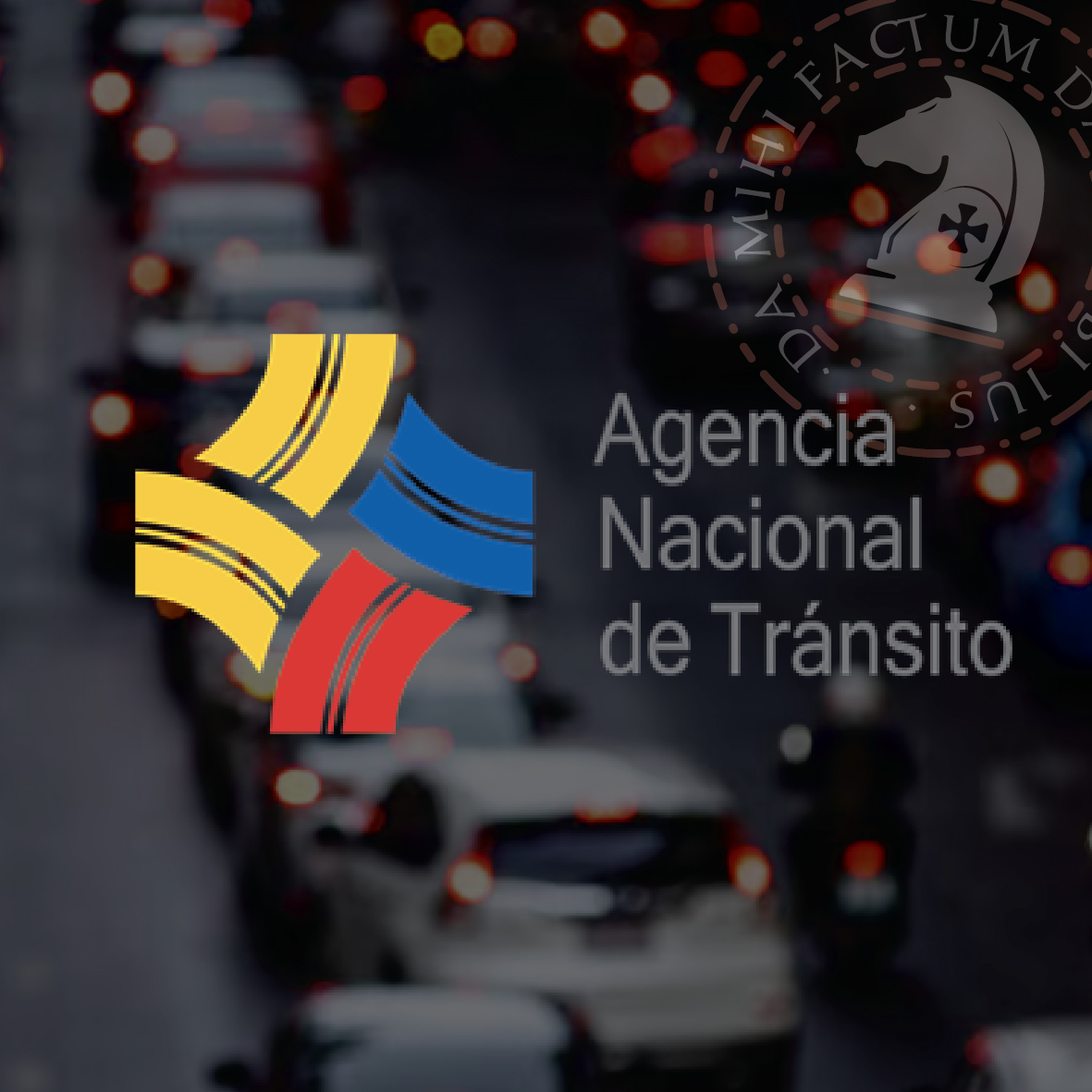 servicios%20effectum 12