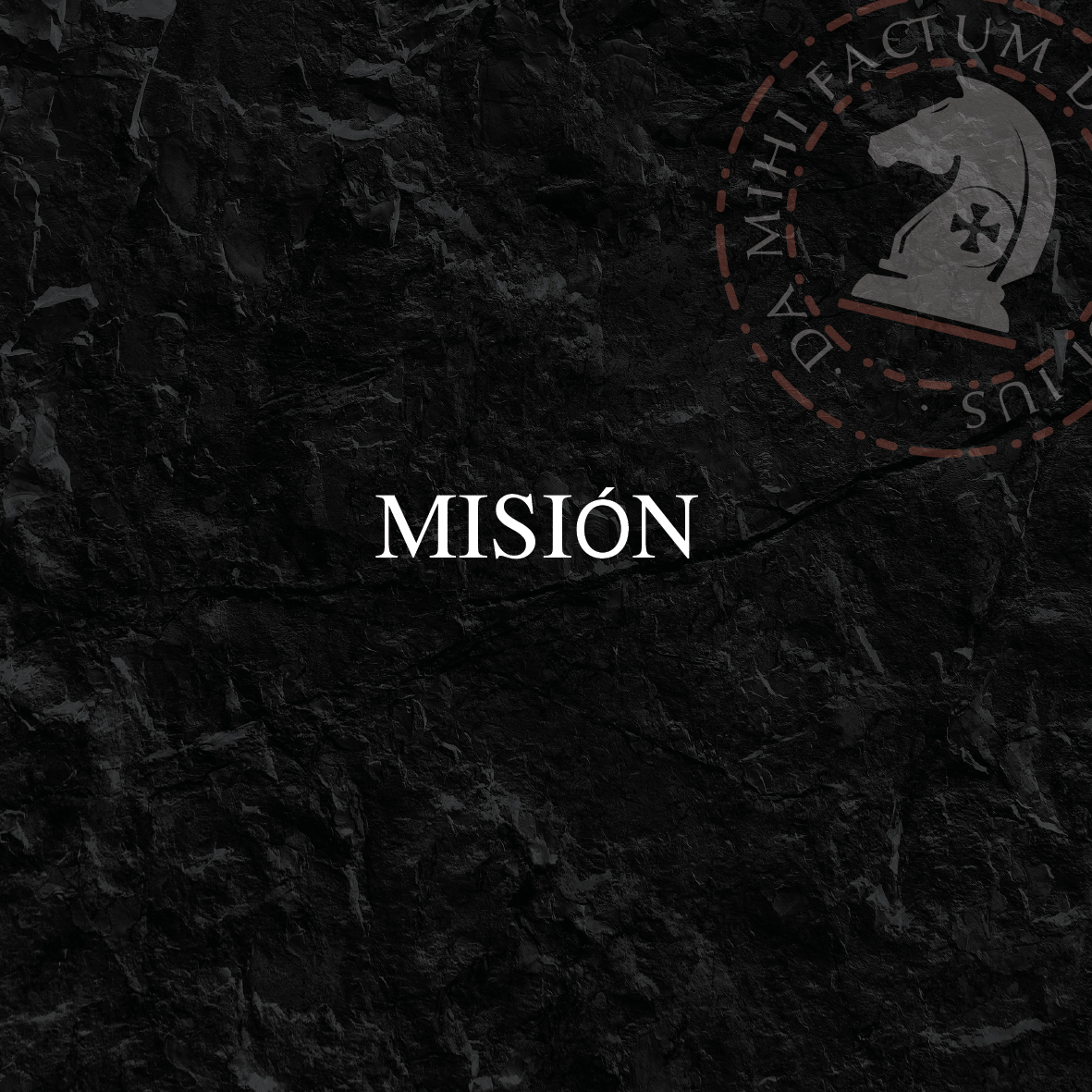 servicios%20effectum 13